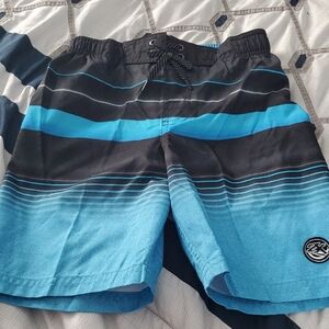 Blue and Black Striped Swim Shorts